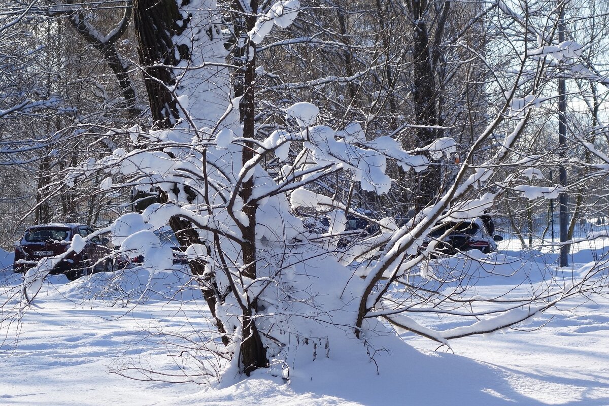 Снег, снежок... - Рита Симонова