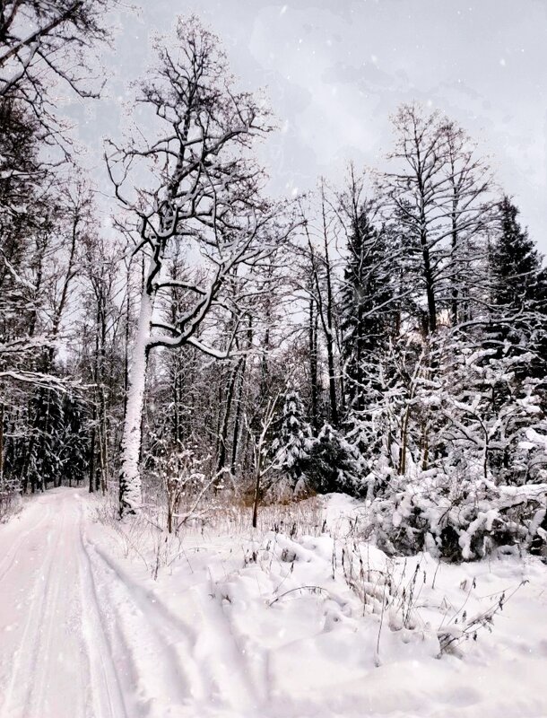 Подмосковье - Тамара Вебер