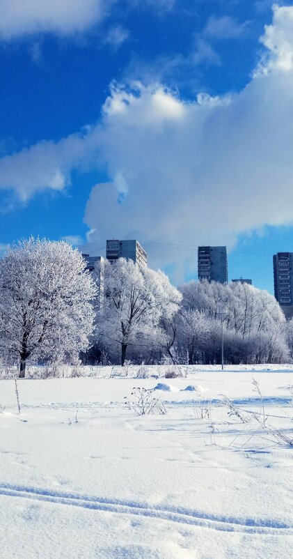 Ещё зима - Тамара Вебер