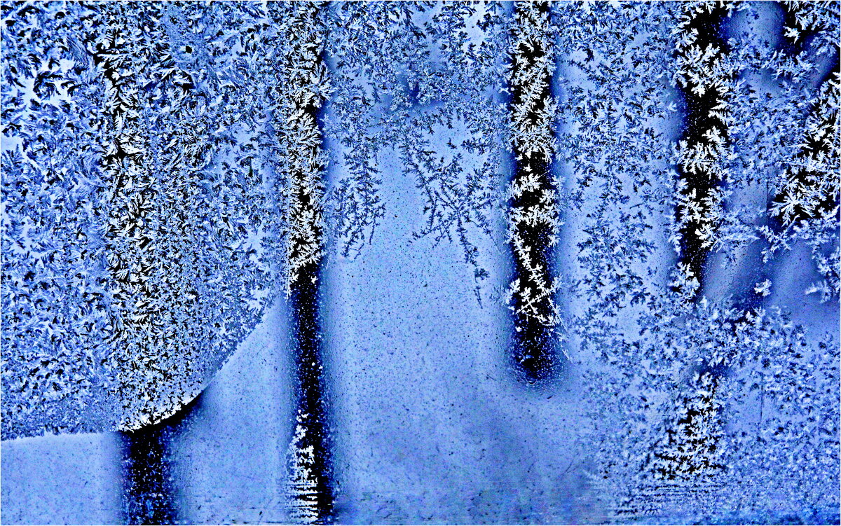 ЗИМА - Юрий Владимирович 34