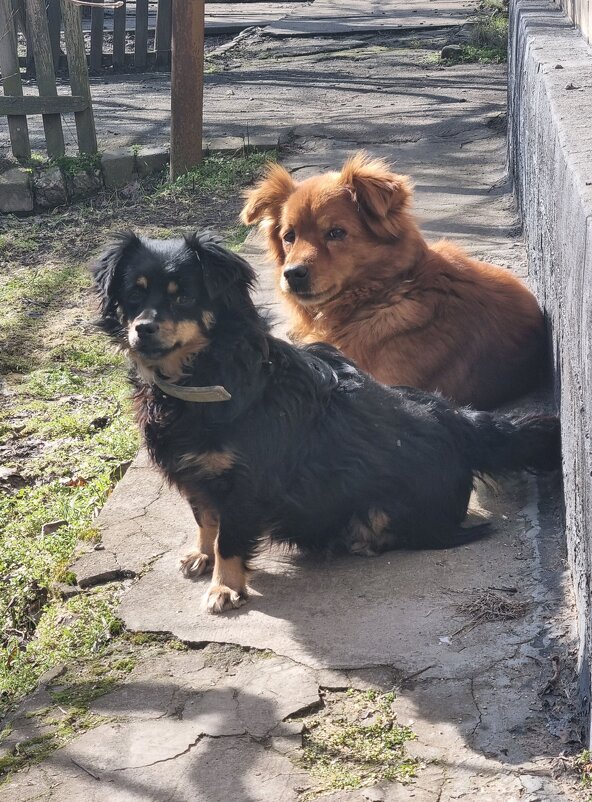 Группа поддержки - Наталья 