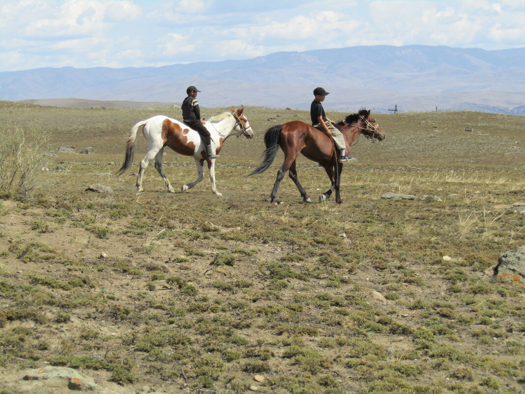 Для тувинца конь символ свободы - Galaelina ***