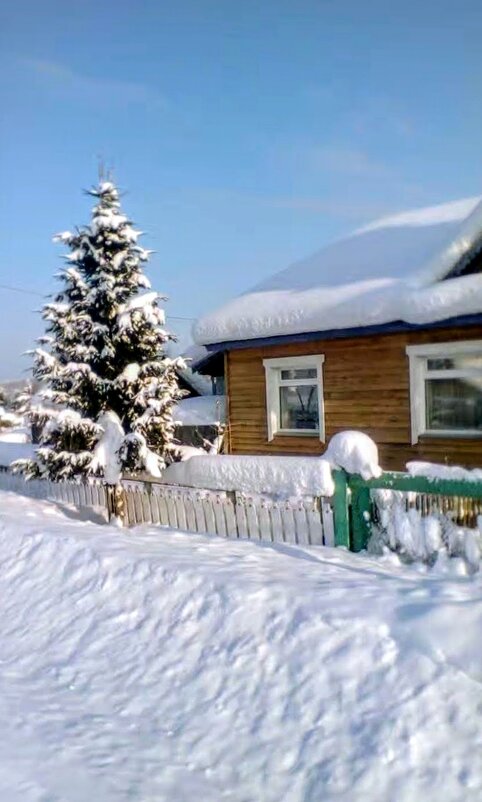 ЖУРАВЛЕВО - Tata Wolf