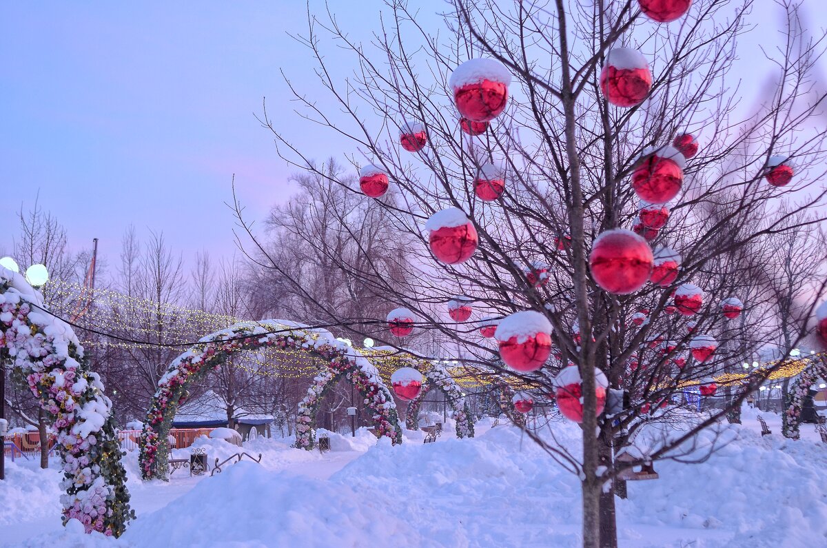 ...зимний сад.. - Георгий Никонов