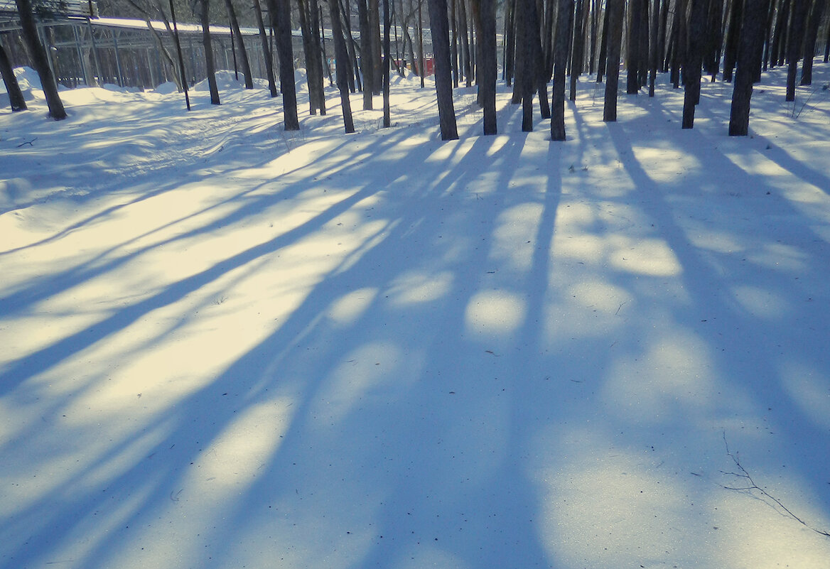 сетка теней - Лера 