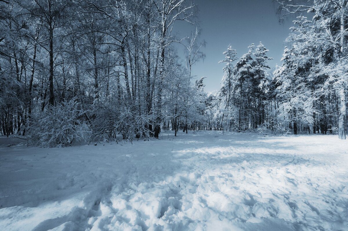 **** - Наталья Лакомова