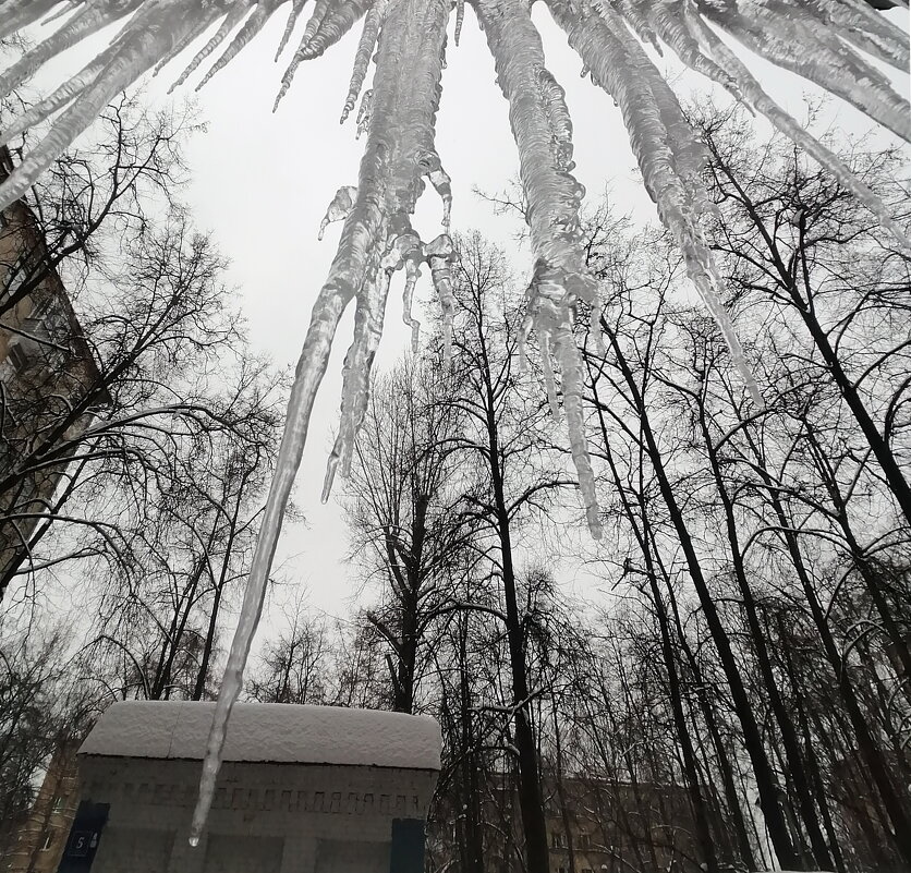 НЕВЕСНА - Юрий Вовк