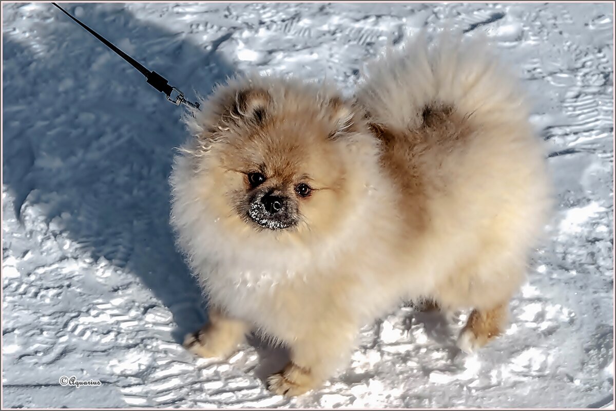 На солнышке... - Aquarius - Сергей На солнышке... - Aquarius - Сергей