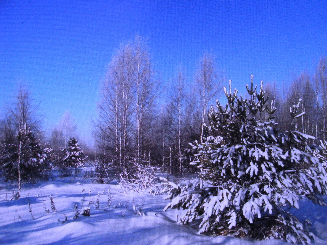 Красота - Людмила Смородинская