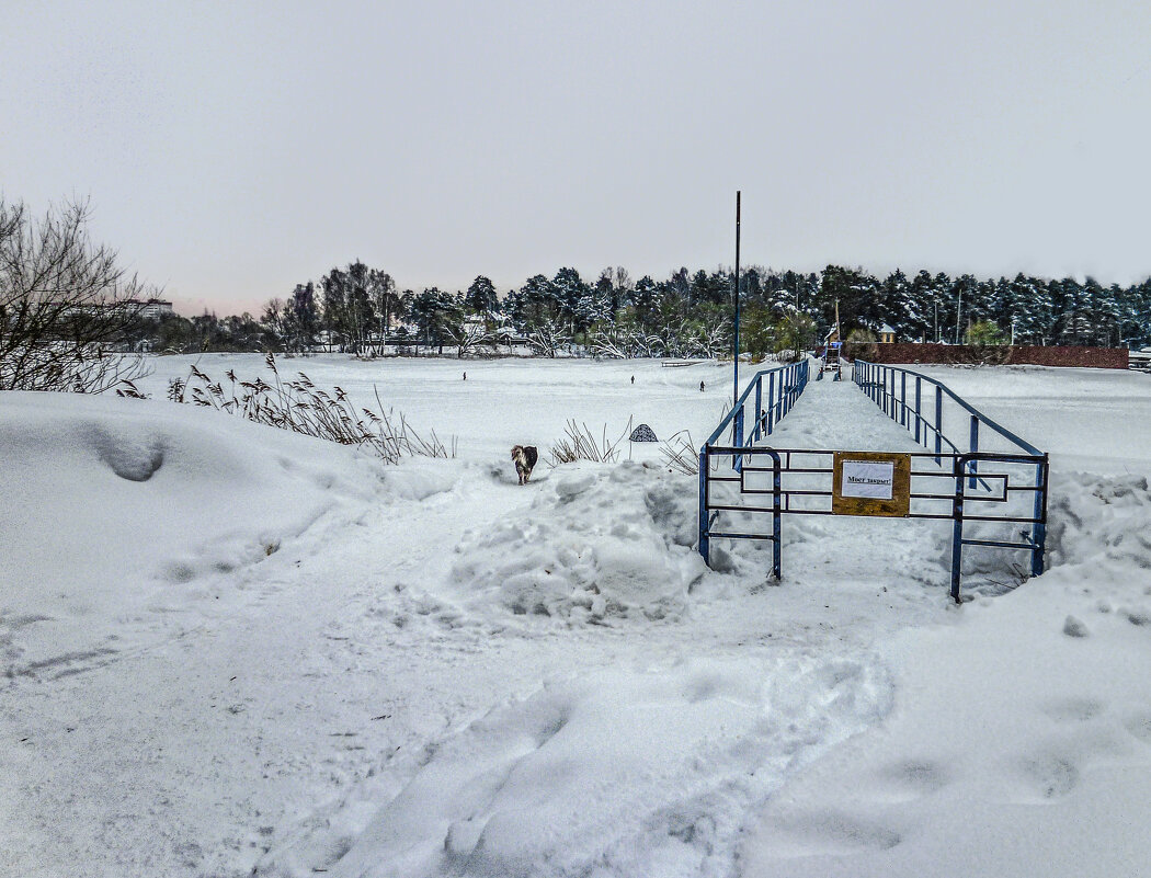 Умный пёс! (Читать умеет - "Мост закрыт") :-) - Михаил "Skipper"