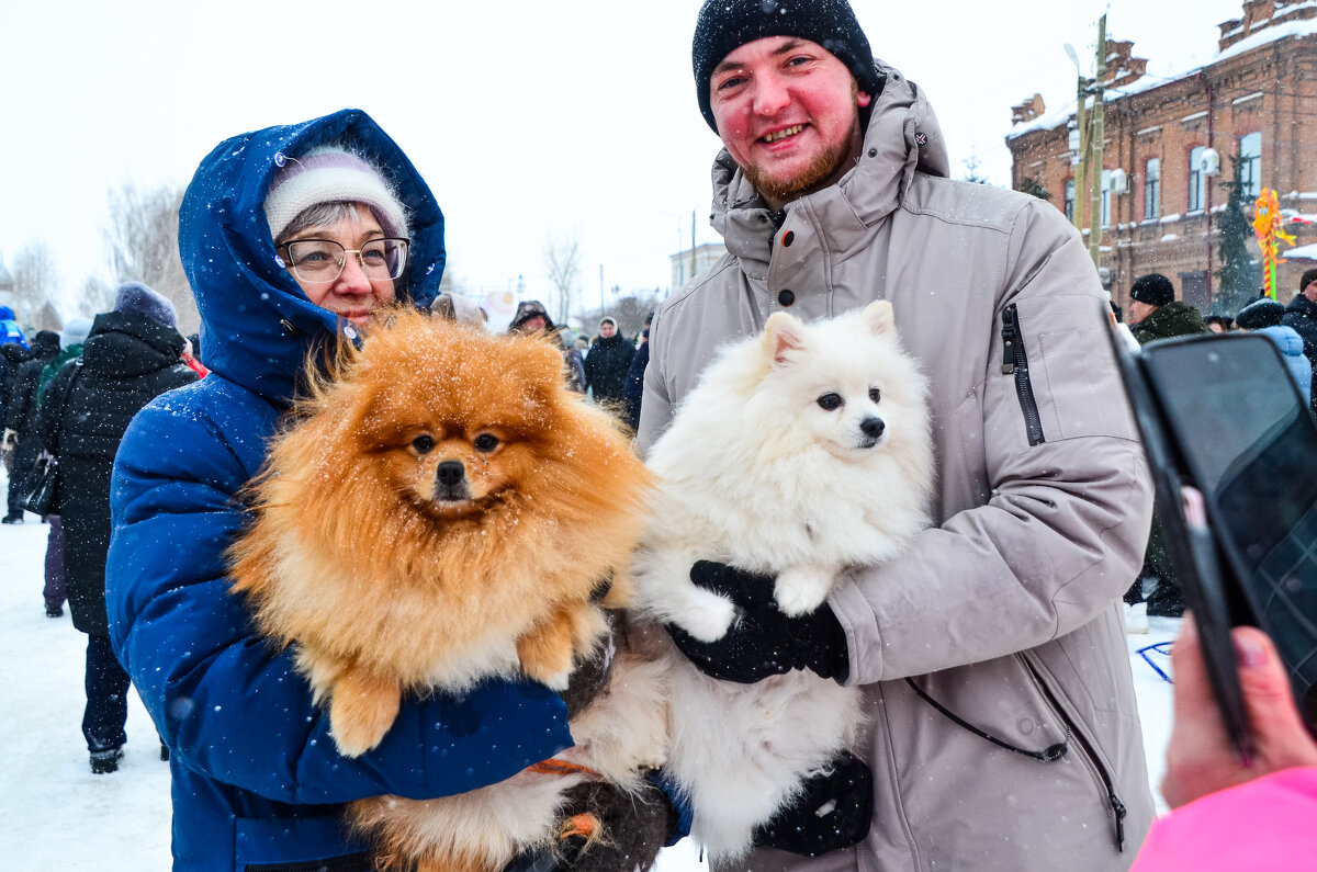 С братьями меньшими. - Михаил Курзанцев