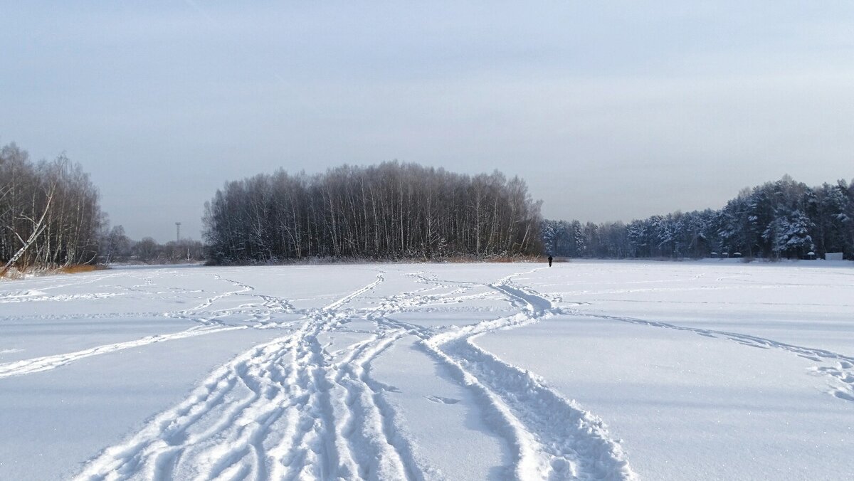 Январь на Смоленщине. - Милешкин Владимир Алексеевич 