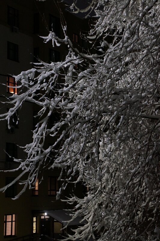 Прощание с зимой... - Алёна Савина