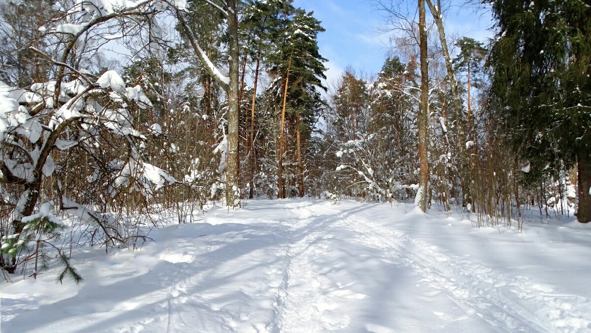 Зима в феврале. - Милешкин Владимир Алексеевич 