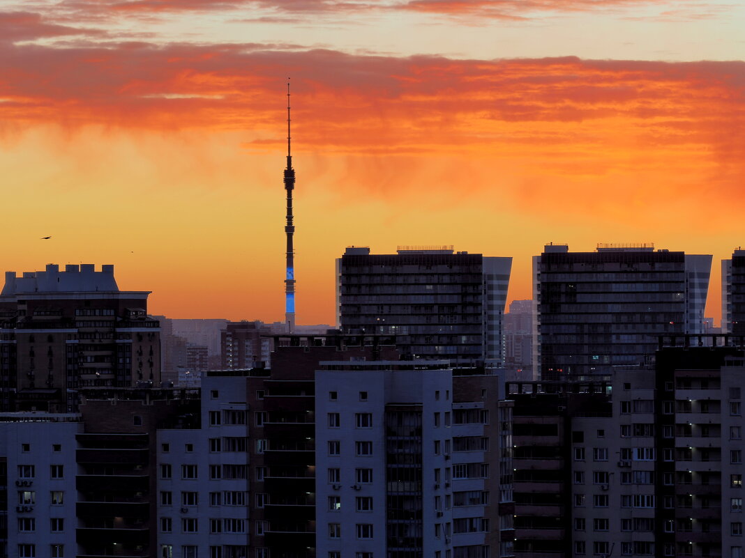 Морозное утро. - Евгений Седов
