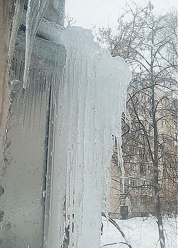 Вот такой февраль - Елена Семигина