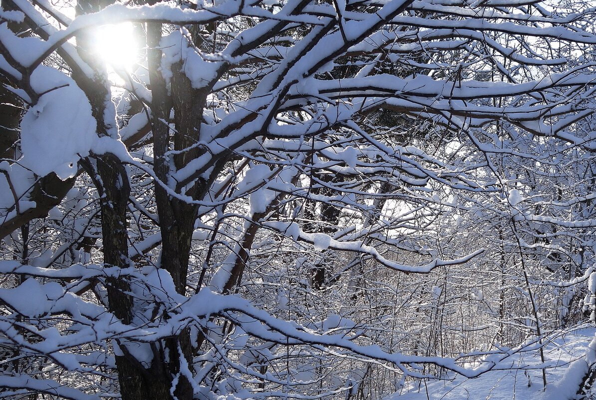 Снег, снежок... - Рита Симонова