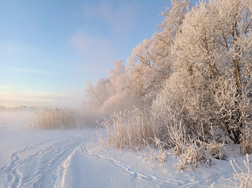 Мороз..... - Ольга Cоломатина