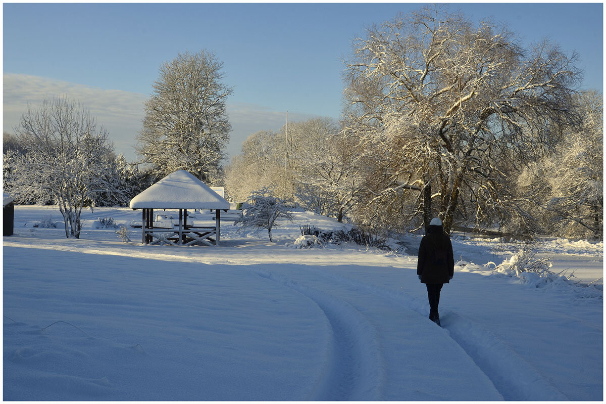 *** - Aleksandr Gal *** - Aleksandr Gal