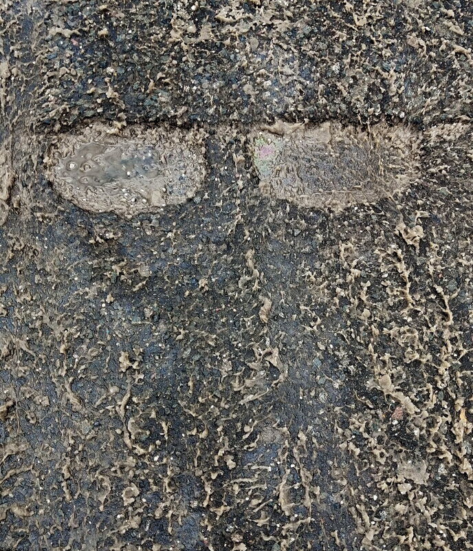 СКОЛЬЗКИЙ ТИП - Юрий Вовк