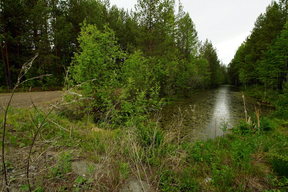 Уральские мотивы... - Николай Гирш Уральские мотивы... - Николай Гирш