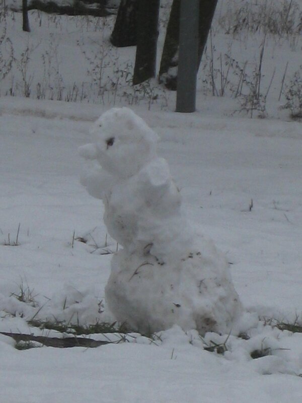 Снеговичок - Дмитрий Никитин