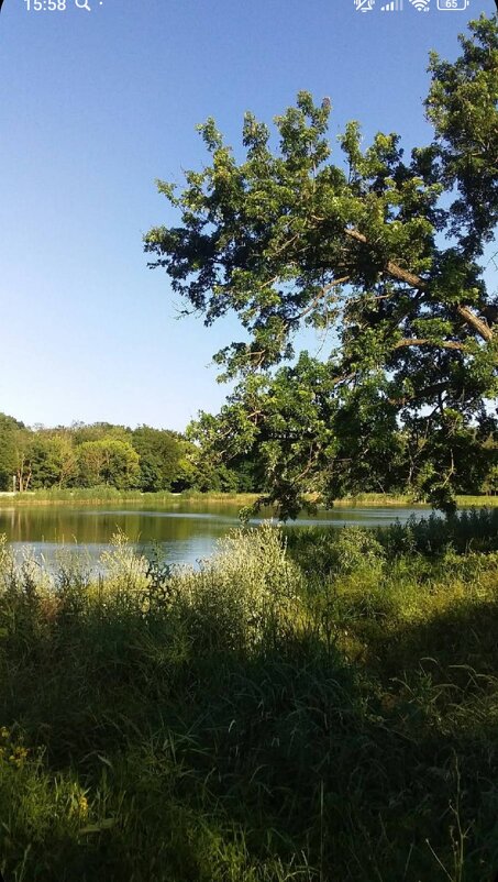 Пруд прогресс биофабрика - Слава Коломойцев