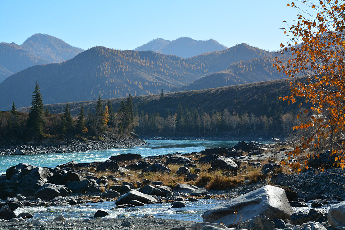 Катунь.Устье Большого Ильгуменя - Валерий Медведев Катунь.Устье Большого Ильгуменя - Валерий Медведев