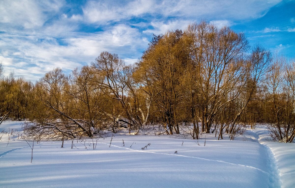 Широкая Масленица, утро 7 - Андрей Дворников Широкая Масленица, утро 7 - Андрей Дворников