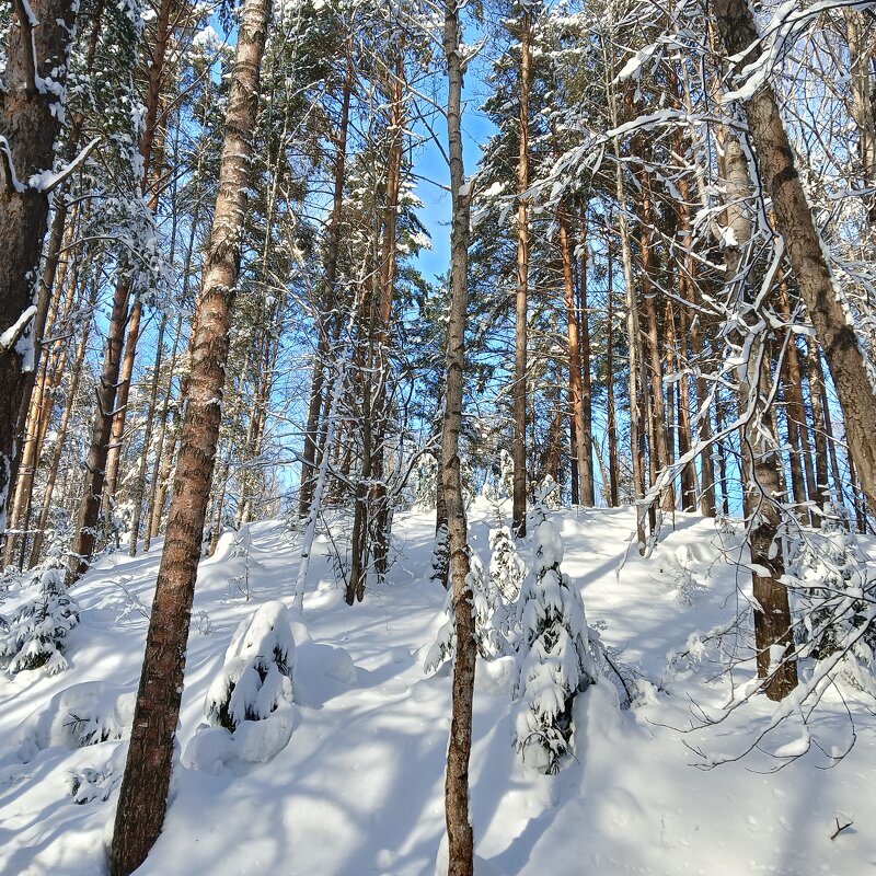 красивая природа - Владимир 