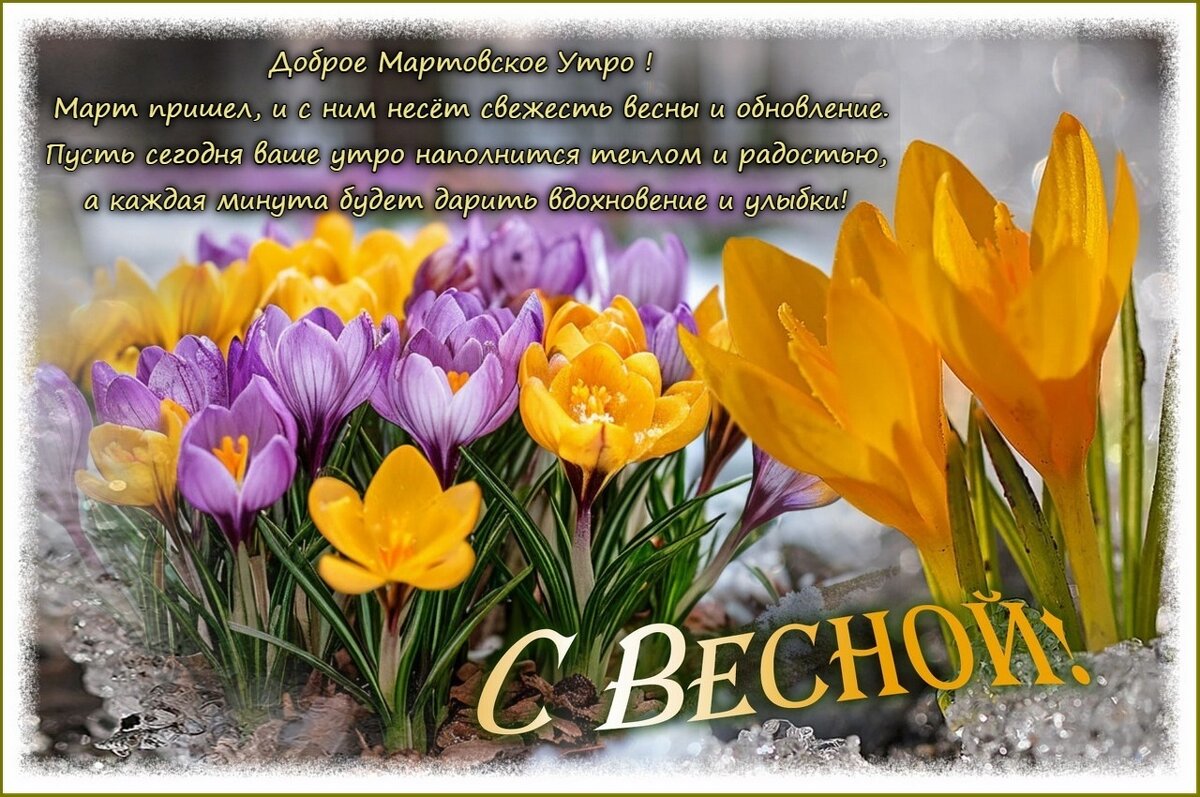 С Первым днём календарной Весны ! - Валентина Надсон