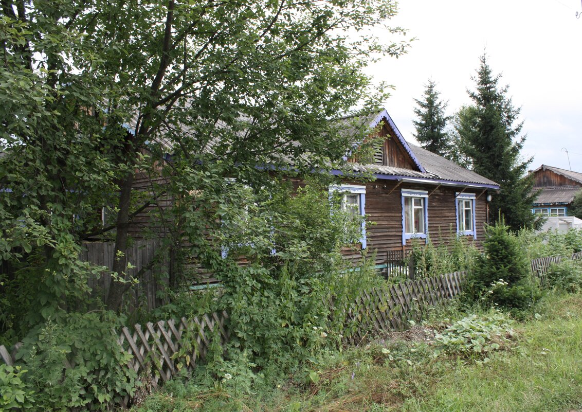 ЖУРАВЛЕВО - Tata Wolf