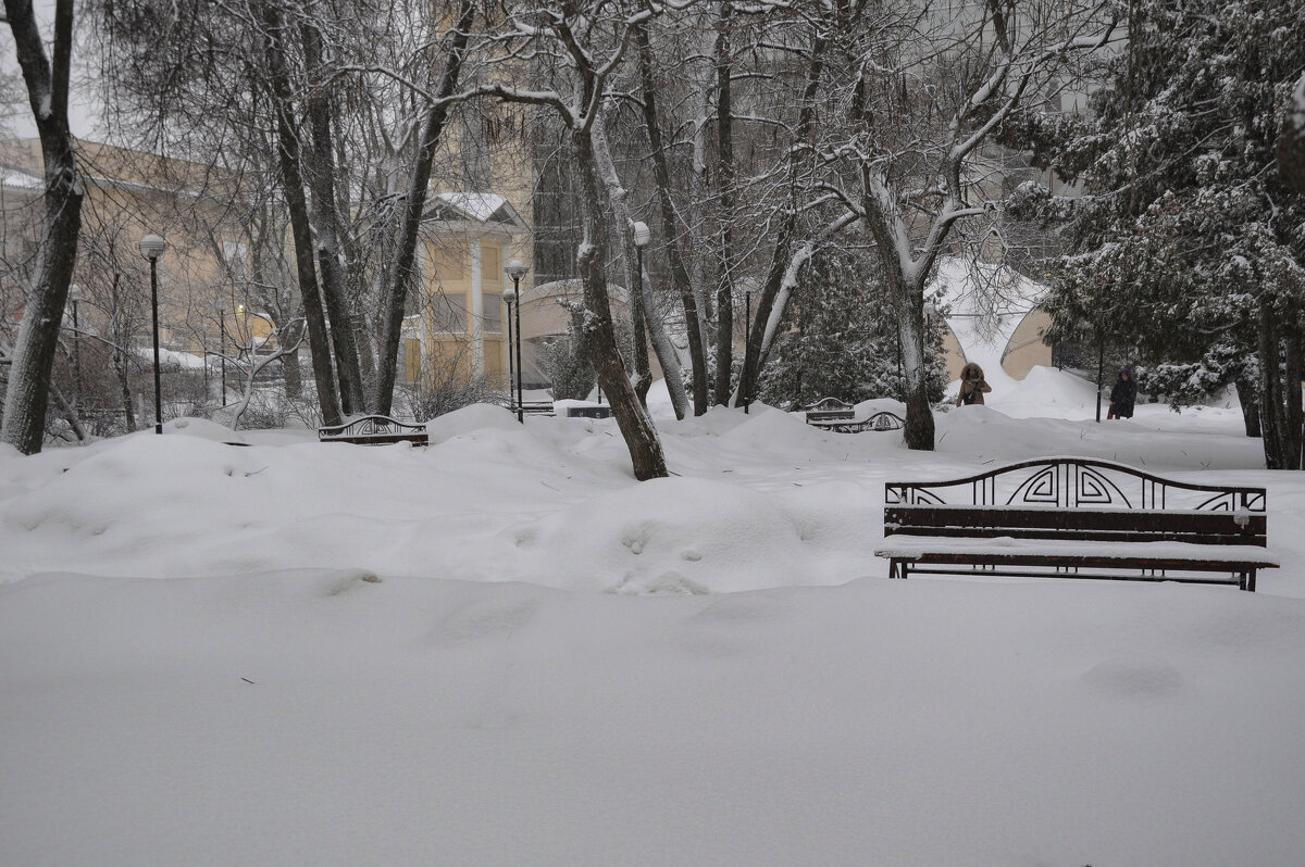 Снежные волны февраля - Татьяна Машошина Снежные волны февраля - Татьяна Машошина