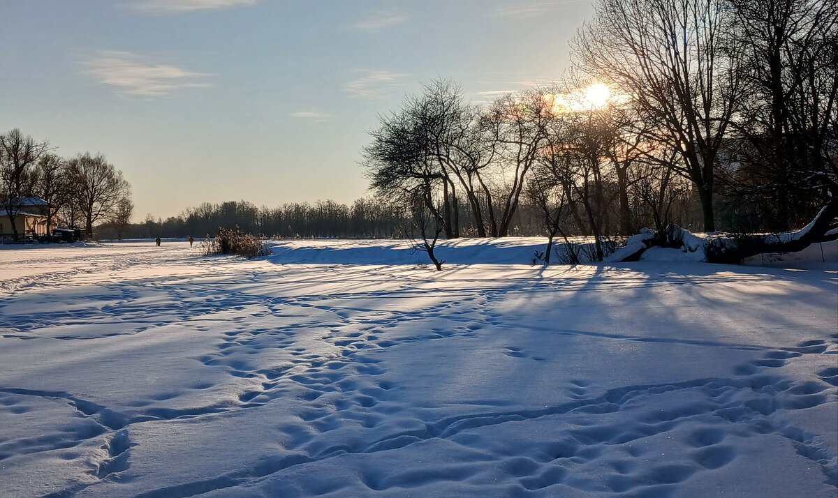 Петергоф. Ольгин пруд. Февраль - Наталья Герасимова Петергоф. Ольгин пруд. Февраль - Наталья Герасимова