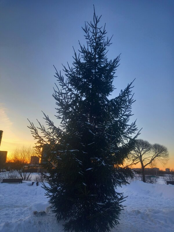 Закат - Сапсан Закат - Сапсан