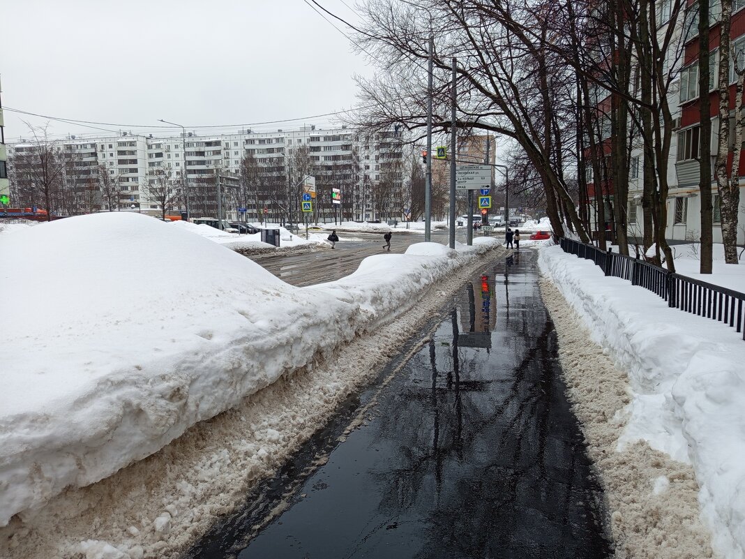 Последний день зимы в Москве (зарисовки неюного натуралиста) - Андрей Лукьянов