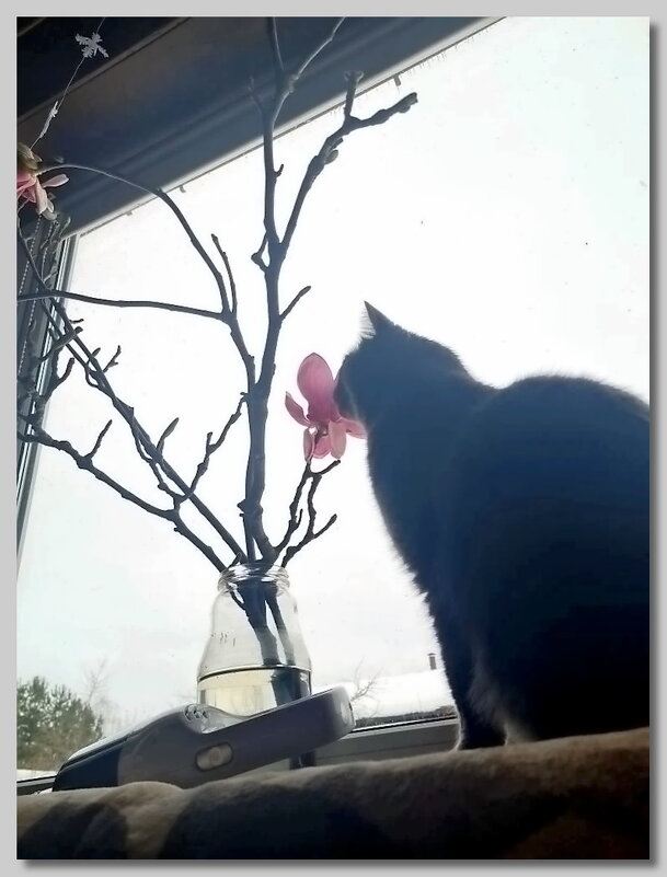 Весна идёт, весне дорогу! - Ольга Довженко