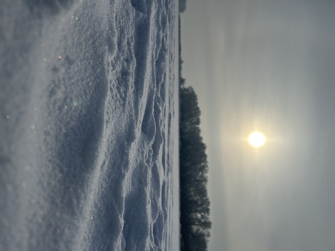 Мороз и солнце… - Марина Панькина