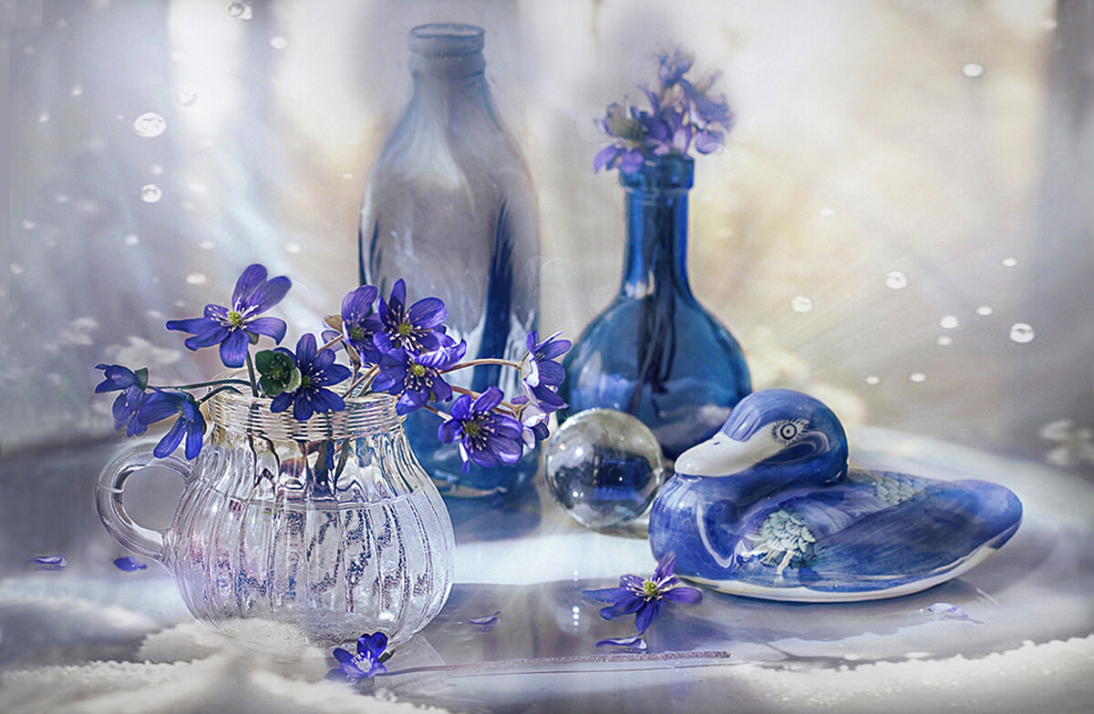 С началом Весны! - Bosanat 