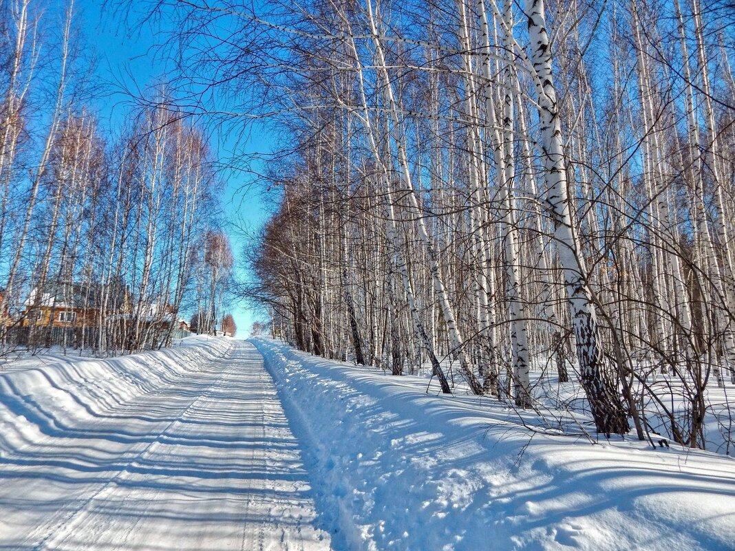 Разгулялся день чудесный! - Елена Хайдукова  ( Elena Fly )