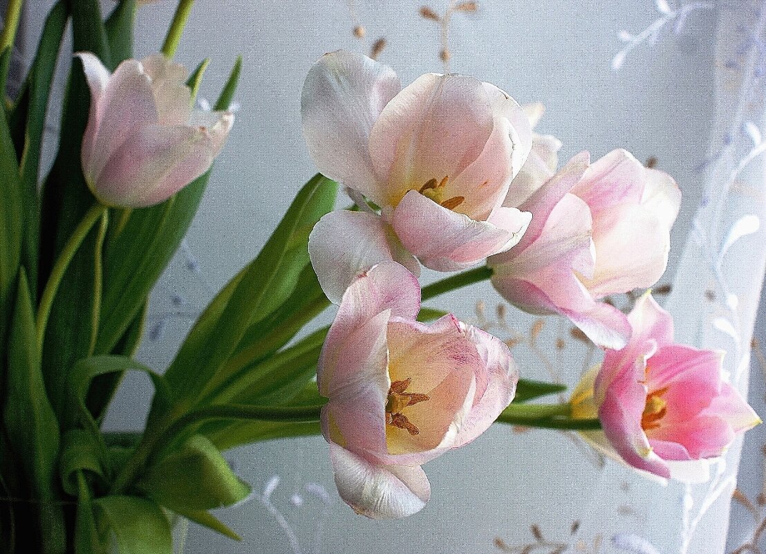 С Первым днем весны! - Галина Нестратова