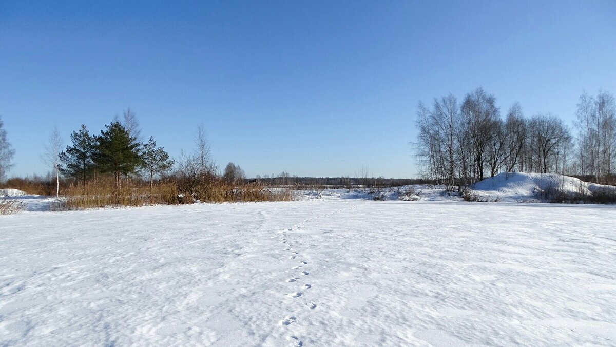 Мои следы. - Милешкин Владимир Алексеевич 