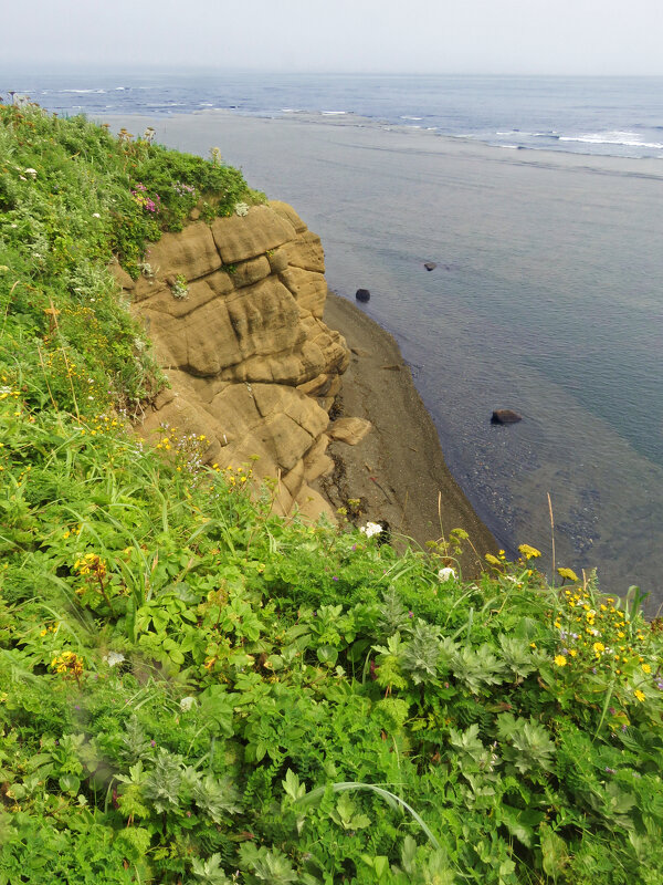 Вид с мыса Кузнецова - ИРЭН@ .