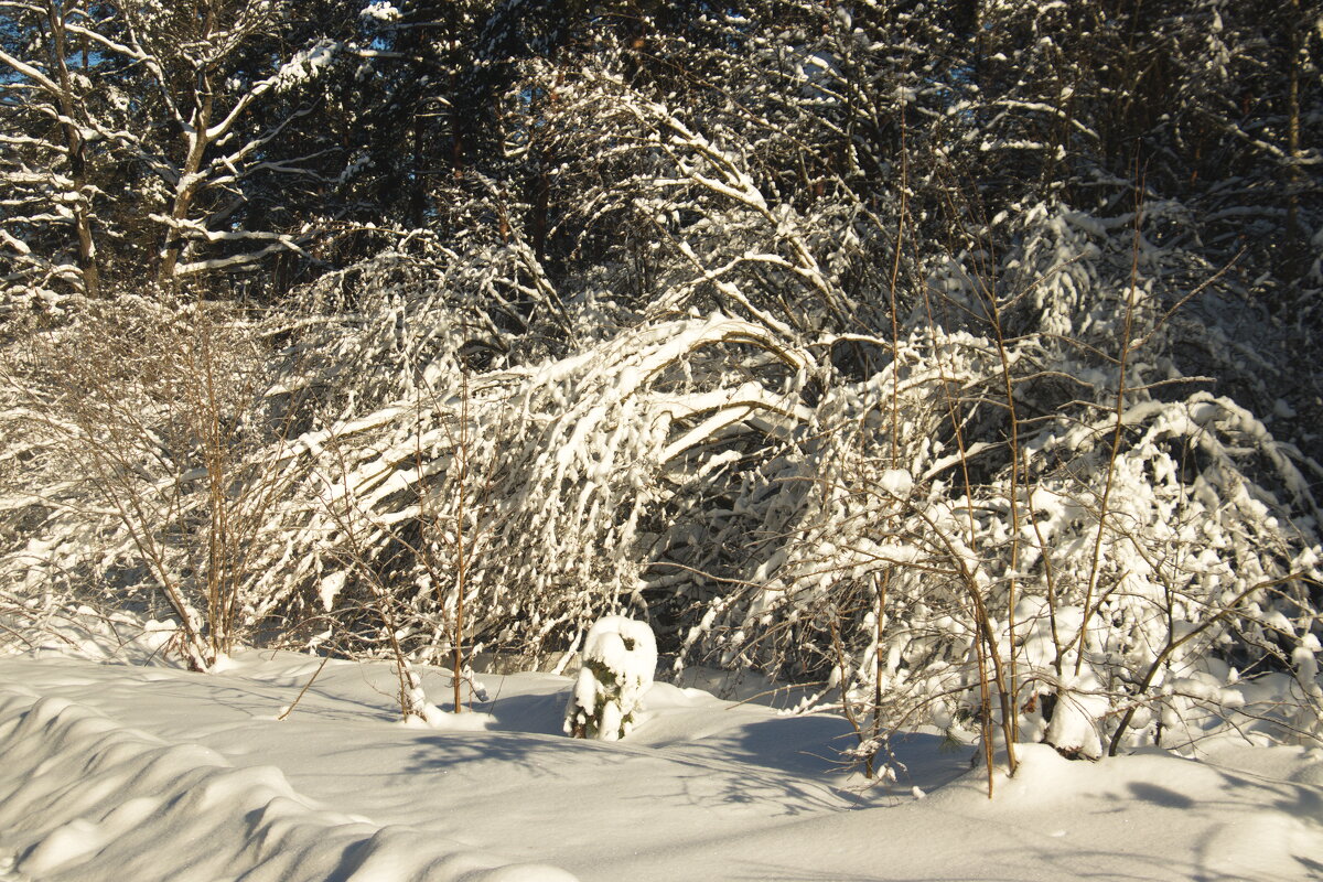 зима снег - Владимир Зырянов
