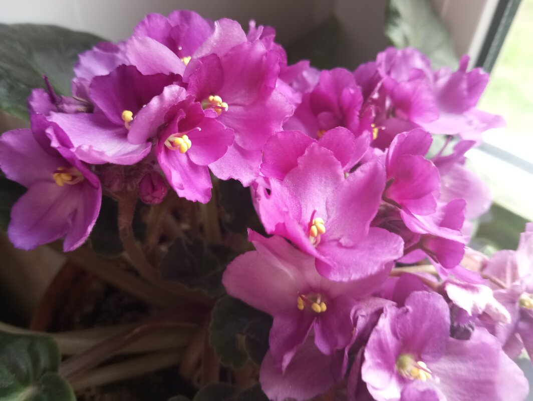 С ПЕРВЫМ ДНЕМ ВЕСНЫ! СЧАСТЬЯ,МИРА И ДОБРА! - Елена Семигина