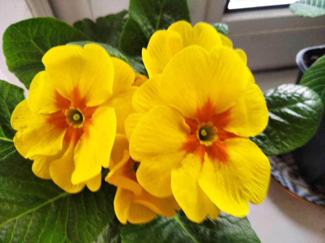 С ВЕСНОЙ ВАС! МНОГО СОЛНЦА И ТЕПЛА! - Елена Семигина