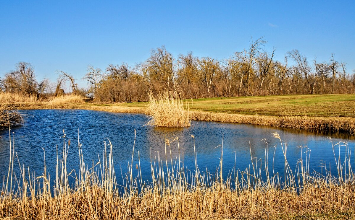 Весенний день. - Владимир 