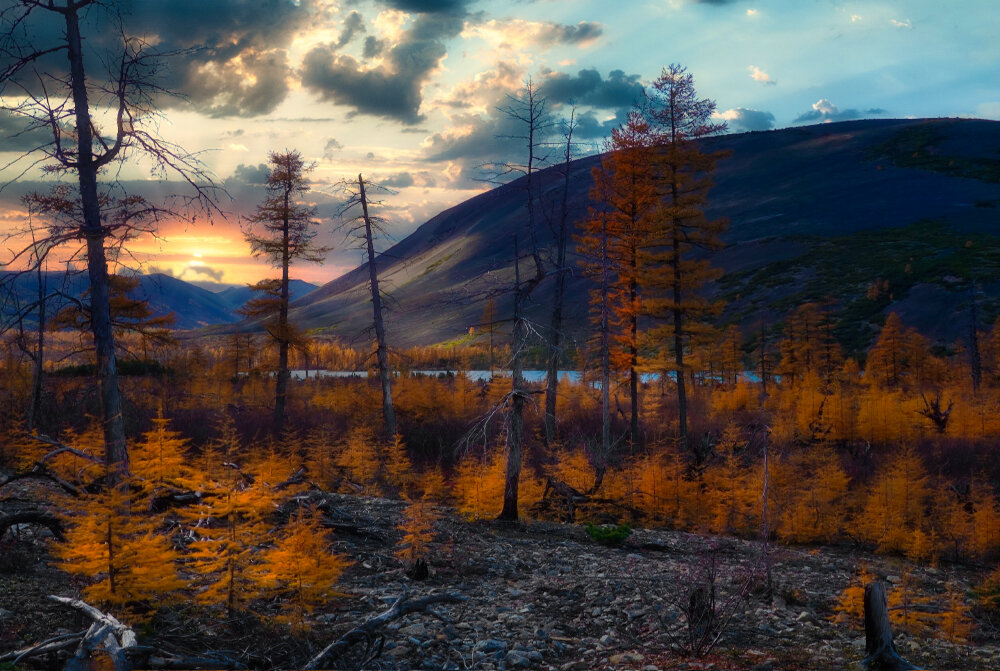 /// - Константин Есипов