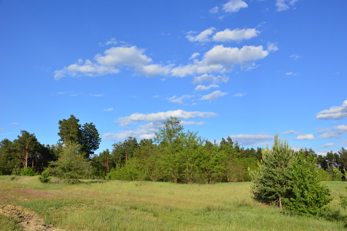 Весна. - Виктор 