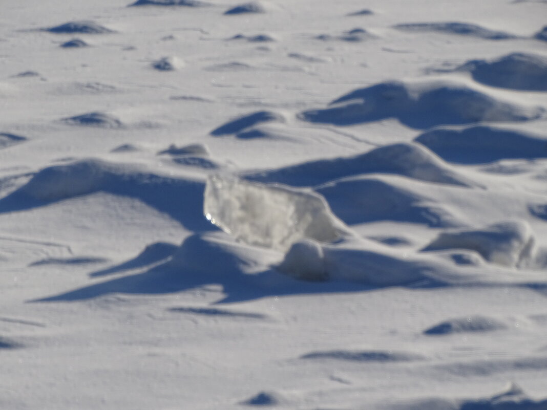 Это еще зима! не сфокусировал! - Anna-Sabina Anna-Sabina